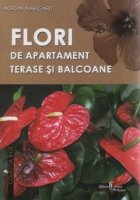 Flori apartament terase balcoane