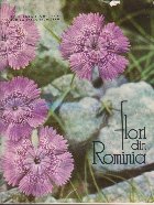 Flori din Romania - Album Flora Romaniei