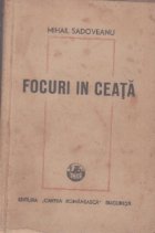 Focuri in ceata