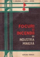 Focuri incendii industria miniera