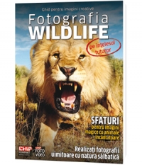 Fotografia Wildlife pe intelesul tuturor