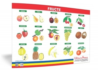 Fructe - plansa 50x70 - Proiecte Tematice