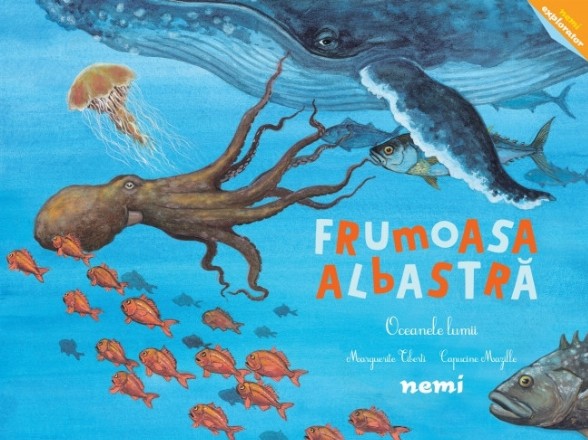 Frumoasa albastră : oceanele lumii