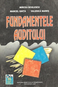 Fundamentele auditului