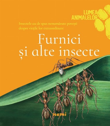 Furnici si alte insecte (Lumea animalelor)