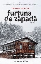 Furtuna de zăpadă