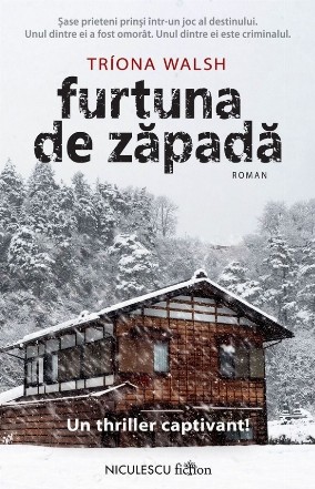 Furtuna de zăpadă