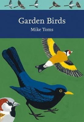 Garden Birds