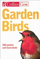 Garden Birds