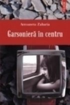 Garsoniera centru