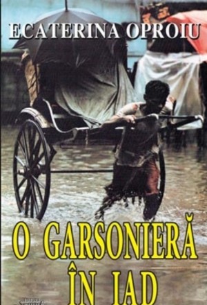 O garsoniera in iad