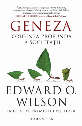 Geneza.Originea profundă a societății