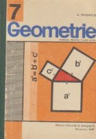 Geometrie Manual pentru clasa VII