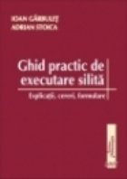 Ghid practic executare silita explicatii