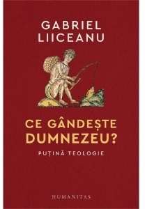 Ce gândeşte Dumnezeu? : puţină teologie