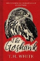 Goshawk