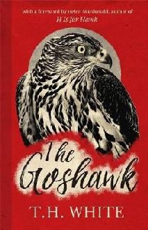 Goshawk