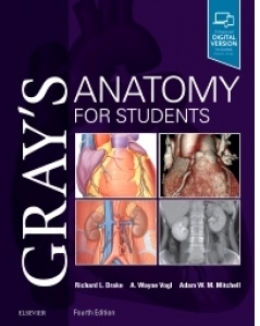 Gray's Anatomy for Students, 4th Edition