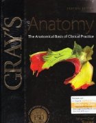 Gray Atlas Anatomy The Anatomical