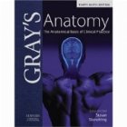 Gray Anatomy: The Anatomical Basis