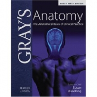 Gray S Anatomy: The Anatomical Basis of Clinical Practice (Hardcover)