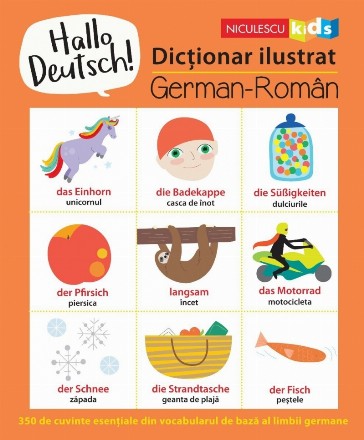 Hallo Deutsch! Dictionar ilustrat, german-roman