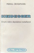 Heidegger Drum catre depasirea metafizicii