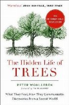 Hidden Life of Trees