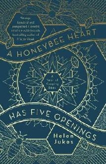 Honeybee Heart Has Five Openings