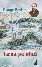 Iarna ulita Poezii