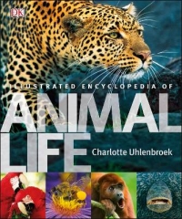 ILLUSTRATED ENCYCLOPEDIA OF ANIMALS