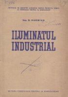 Iluminatul industrial