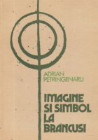 Imagine si simbol la Brancusi