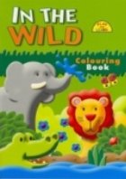 The Wild (Play And Learn