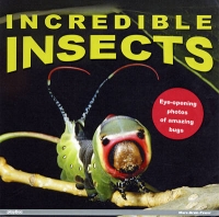 Incredible Insects