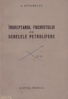 Indreptarul fochistului din schelele petroliere