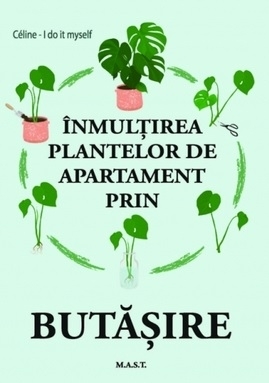 Inmultirea plantelor de apartament prin butasire