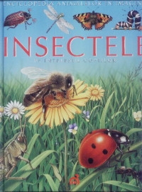 Insectele pe intelesul copiilor