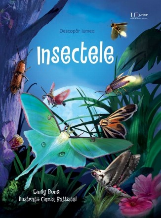 Insectele (Usborne)