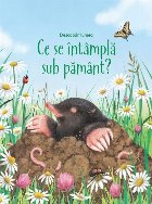 intampla sub pamant (Usborne)