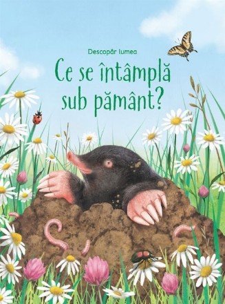 Ce se intampla sub pamant? (Usborne)