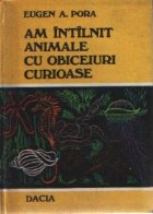 intilnit animale obiceiuri curioase