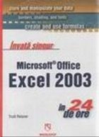 Invata singur Microsoft Office Excel 2003