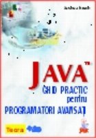 JAVA, ghid practic pentru programatori avansati