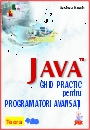 JAVA, ghid practic pentru programatori avansati