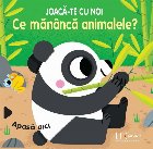 Joaca-te cu noi. Ce mananca animalele?