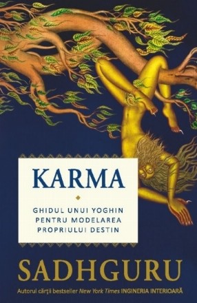 Karma : ghidul unui yoghin pentru modelarea propriului destin