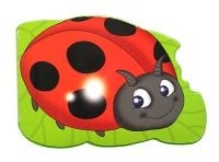 Ladybird