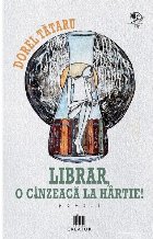 Librar cinzeacă hârtie poezii