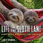 Life The Sloth Lane